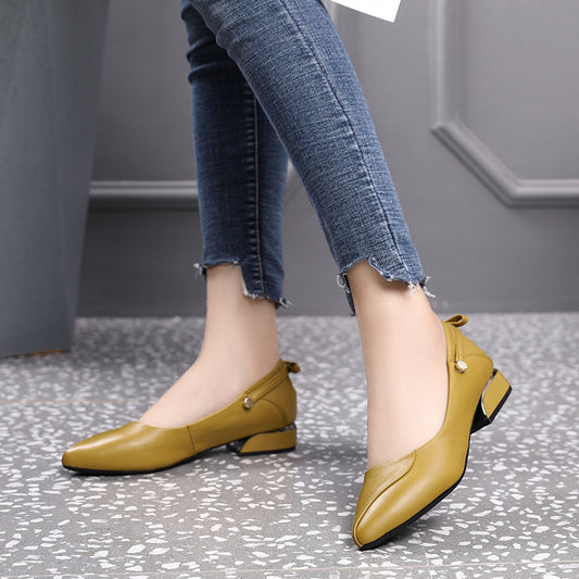 Low Top Pumps Pointed Toe Heels